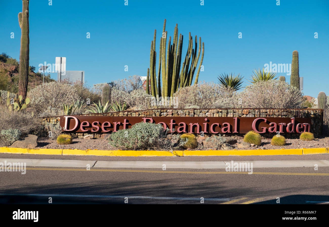 Jardin botanique du désert, Phoenix, Arizona, USA Banque D'Images