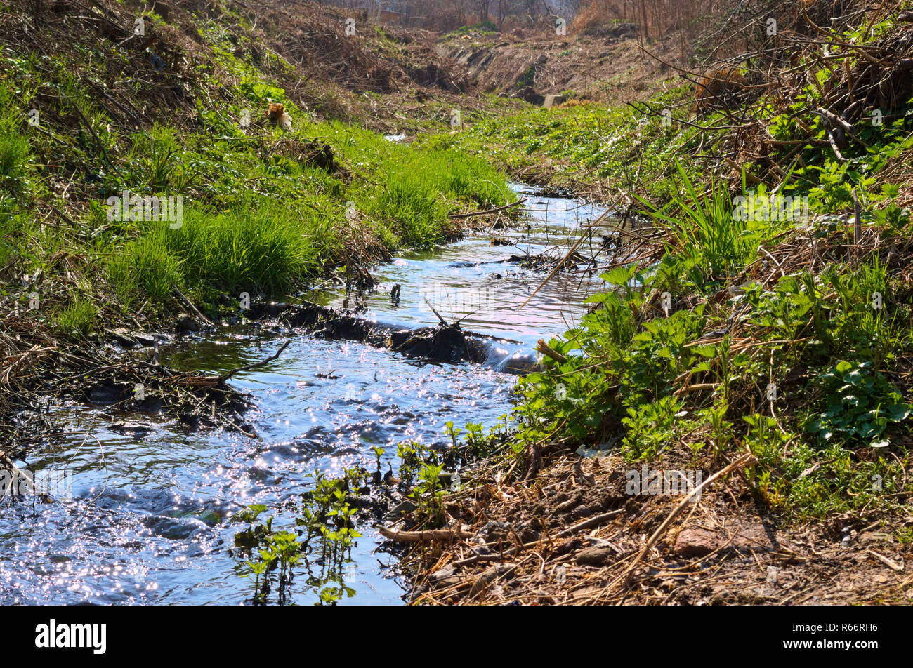 Petite rivière ruisseau coule, Ledinci, Serbie Banque D'Images