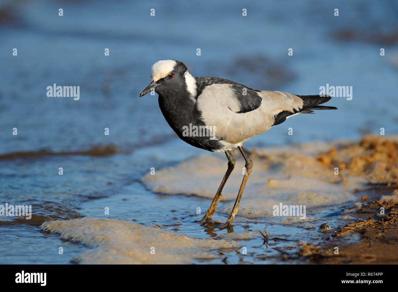 Au bord de l'eau le forgeron Banque D'Images