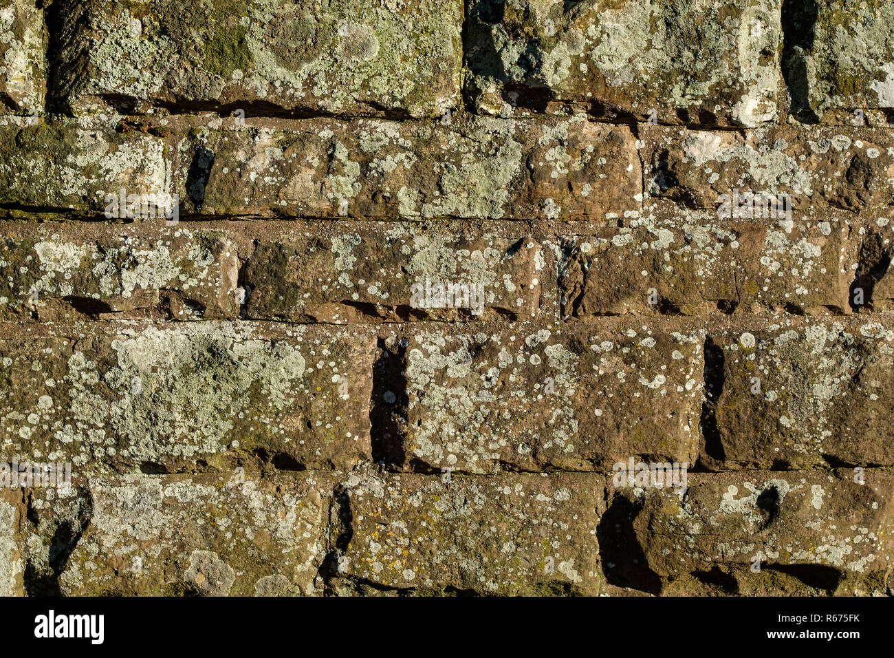 Vieilles pierres de lichen d'un mur Banque D'Images