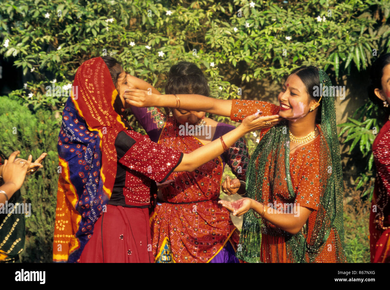 Des femmes jouant avec les couleurs de holi festival, l'Inde, M. Banque D'Images