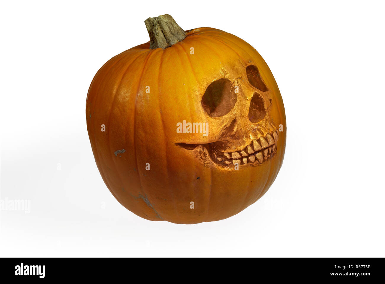 Spooky Halloween citrouille sous la forme d'un crâne humain Banque D'Images