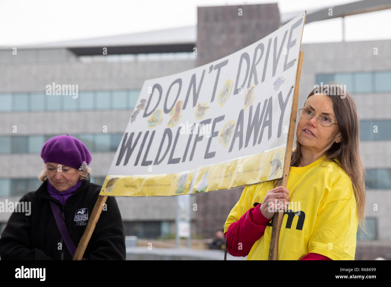 Cardiff, Pays de Galles, Royaume-Uni, 4 décembre 2018. Les manifestants lors d'une manifestation devant l'Assemblée nationale du Pays de Galles Senedd bâtiment dans la baie de Cardiff contre les Gallois Gouvernement prévoyait un allégement M4 la route à travers les niveaux à Newport Gwent. Credit : Mark Hawkins/Alamy Live News Banque D'Images