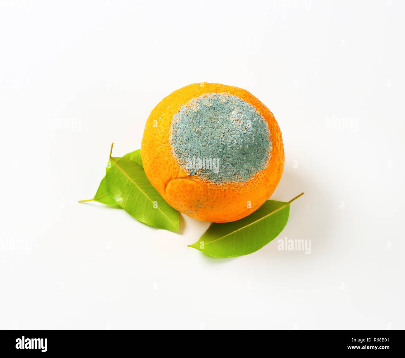 Une orange pourrie Banque D'Images