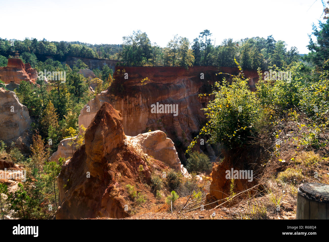 Peu de Grand Canyon (Providence Canyon State Park) Lumpkin, Géorgie. Banque D'Images