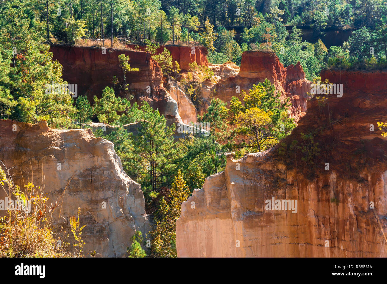 Peu de Grand Canyon (Providence Canyon State Park) Lumpkin, Géorgie. Banque D'Images