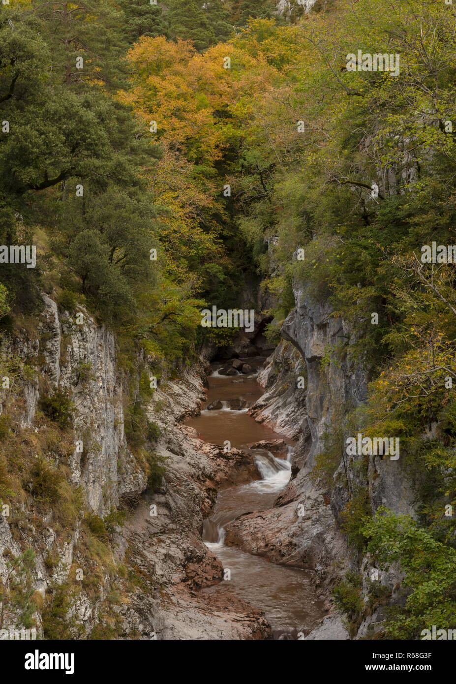 Gorge sur la rivière Aragon, la Boca del Infierno, en automne, dans la Selva de Oza, Pyrénées espagnoles, Aragon. L'Espagne. Banque D'Images