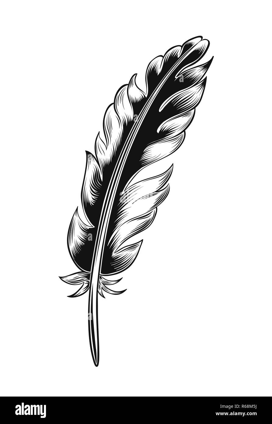 Vintage black feather. Illustration de Vecteur