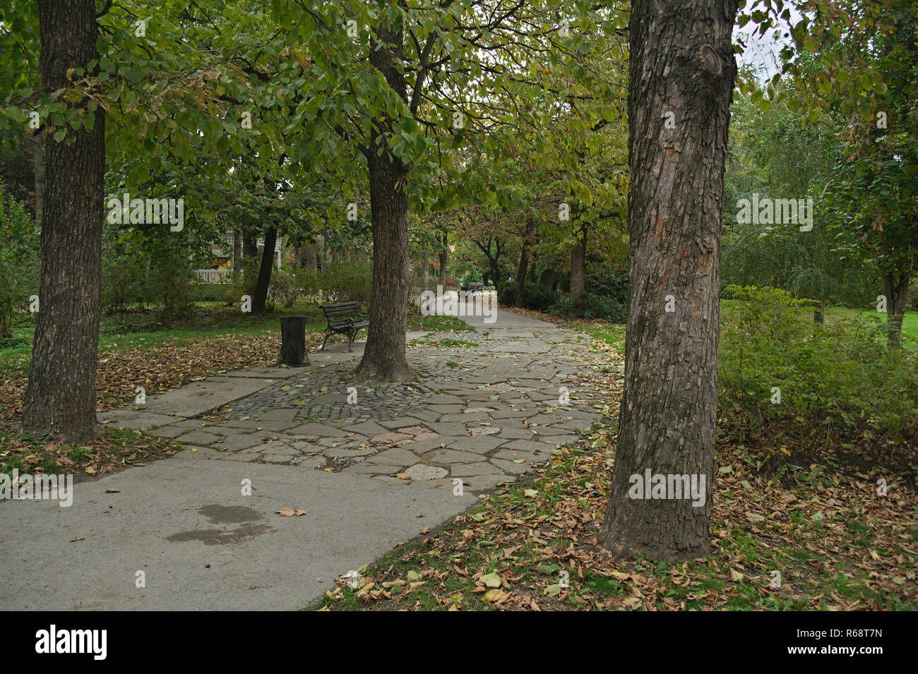 En chemin park et les arbres autour de lui, le temps d'automne Banque D'Images