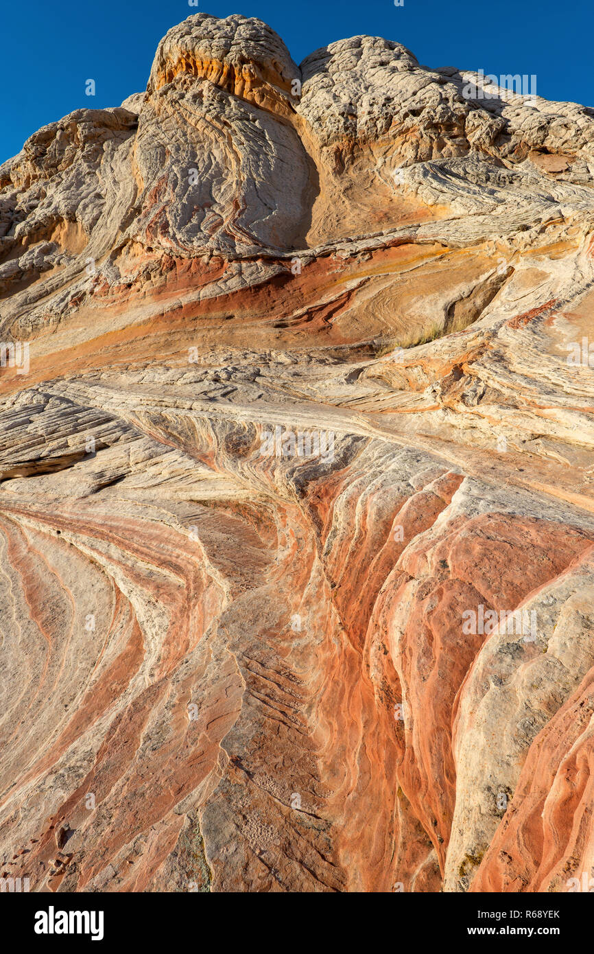 Les formations de grès blanc, poche, Vermillion Cliffs National Monument, Arizona, Plateau Paria Banque D'Images