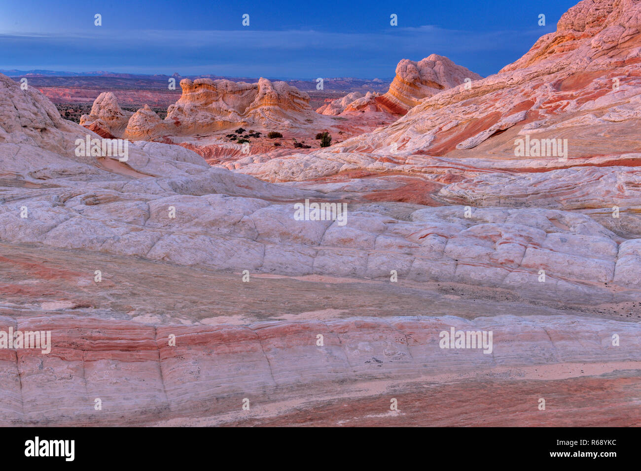 Crépuscule, falaises de grès blanc, poche, Vermillion Cliffs National Monument, Arizona, Plateau Paria Banque D'Images