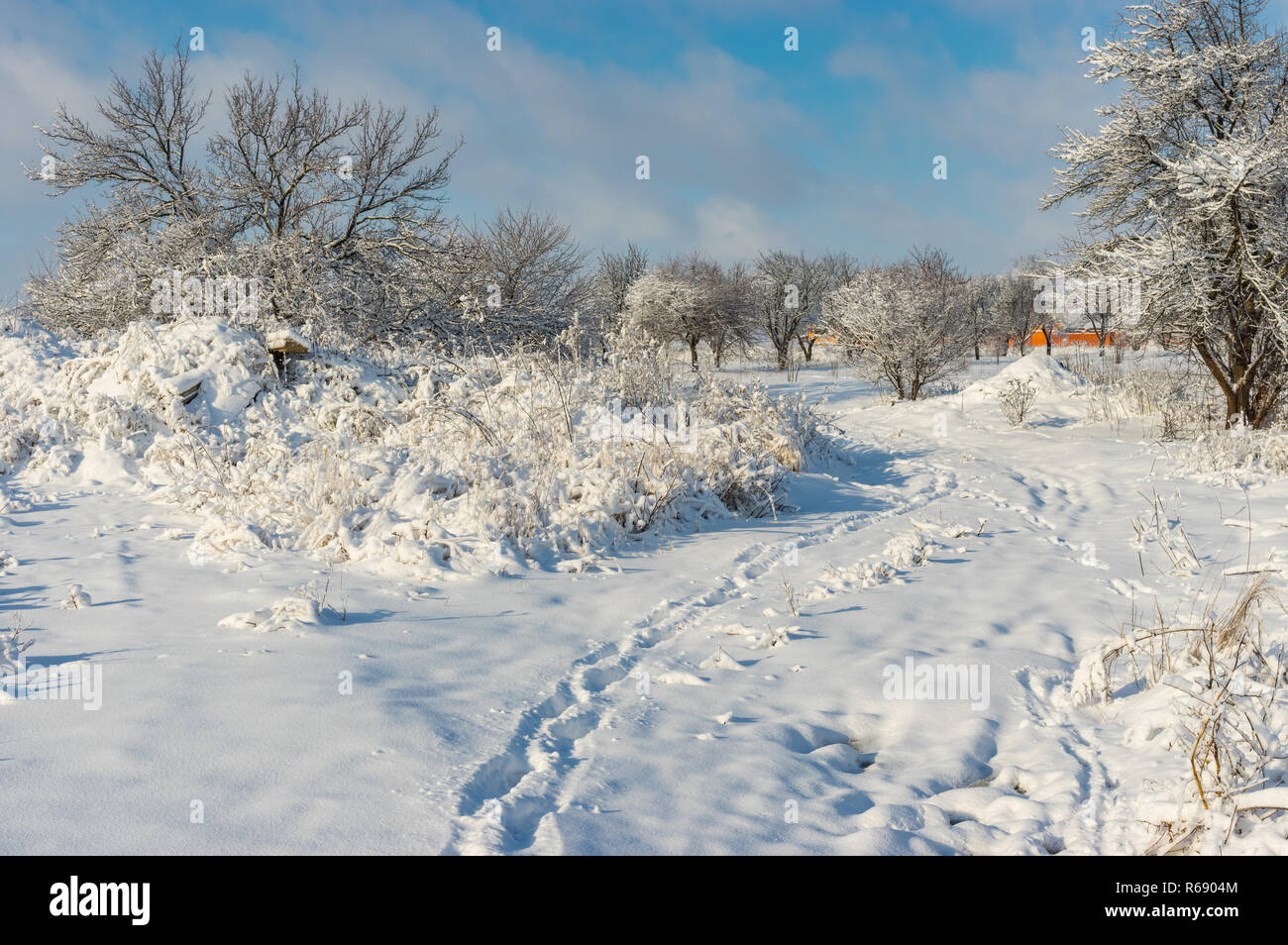 Paysage d'hiver avec chemin piétonnier à travers la neige couvert verger dans Novoaleksandrivka village ukrainien près de la ville de Dnipro Banque D'Images