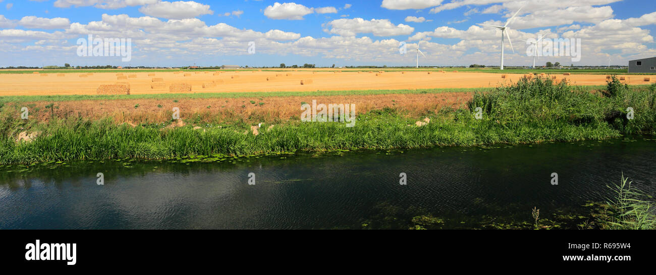 L'été ; Whittlesey Dyke, niveaux près de Bedford village ; Turves ; Fenland Cambridgeshire ; Angleterre ; UK Banque D'Images