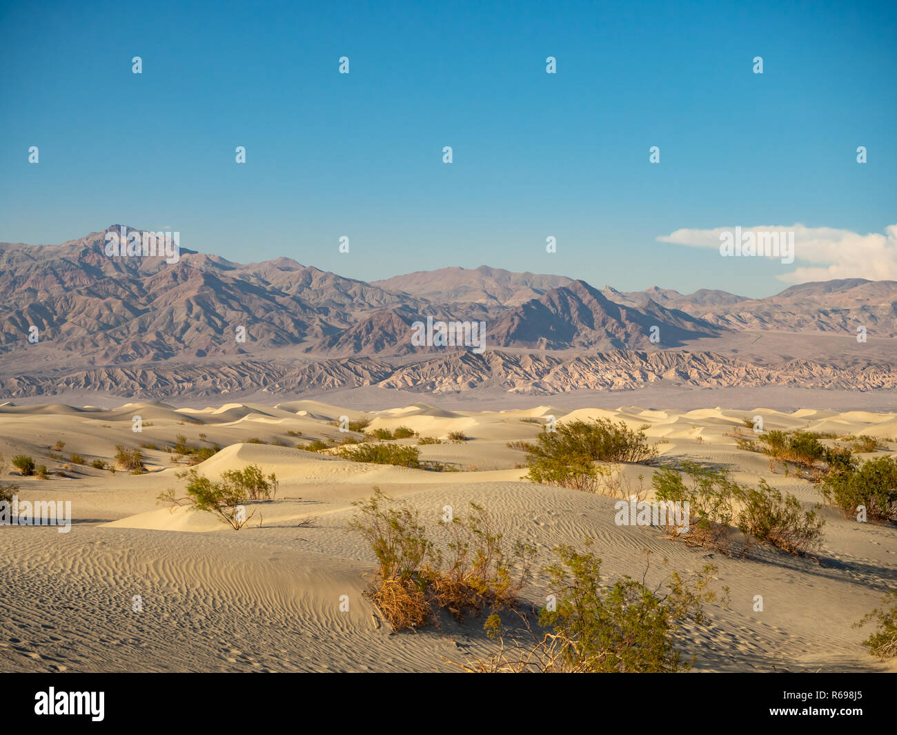 La vallée de la mort, désert de Mojave road, Californie, USA : Le meilleur endroit sur Terre Banque D'Images