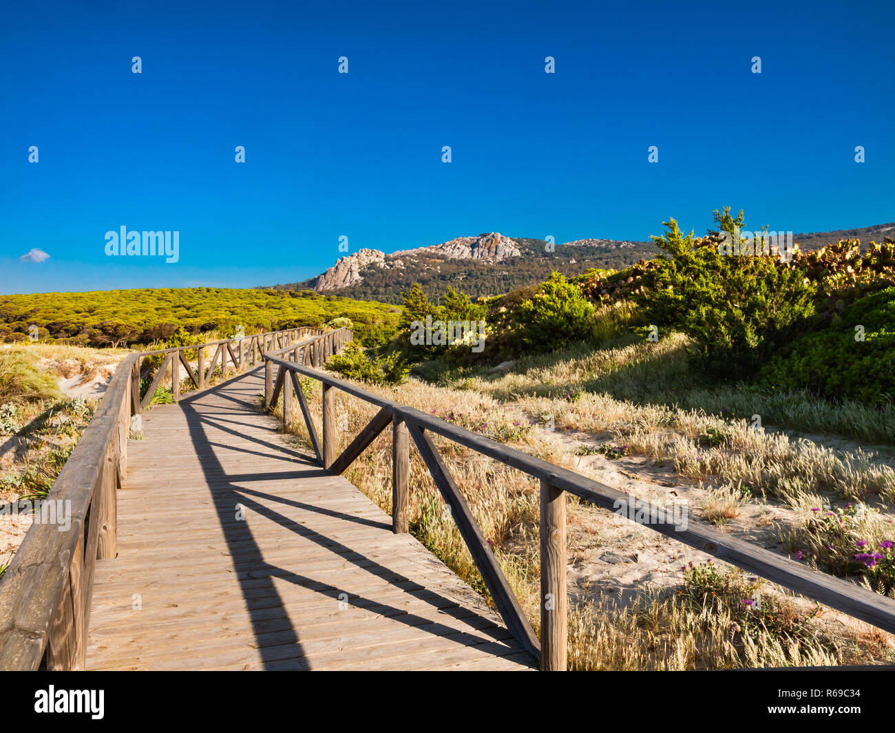 Land Scape près de la plage de Bolonia, Tarifa, Cadix, Andalousie, Espagne Banque D'Images