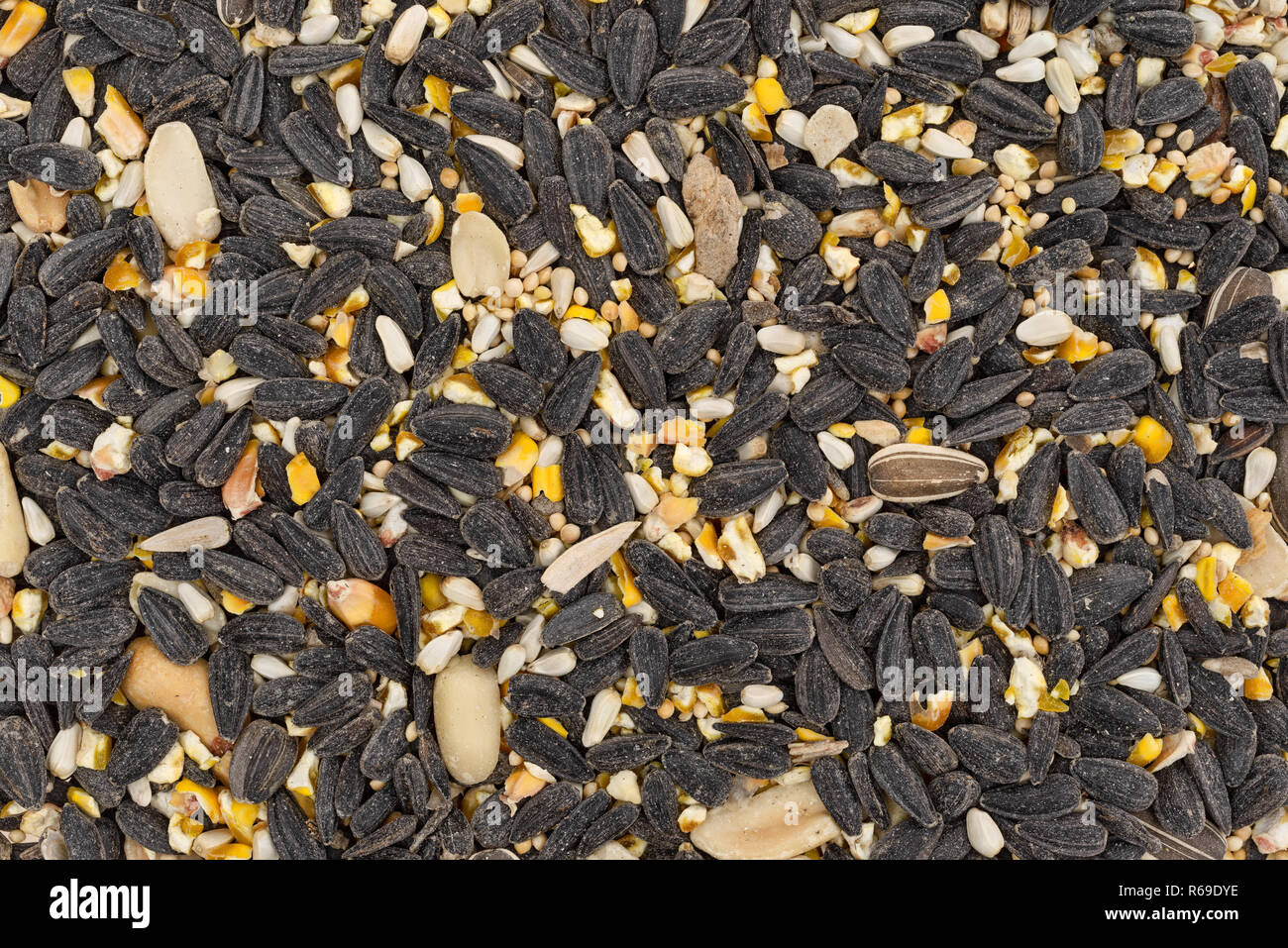 Vue de dessus de la nourriture pour oiseaux sauvages en vrac avec un assortiment de graines et arachides. Banque D'Images