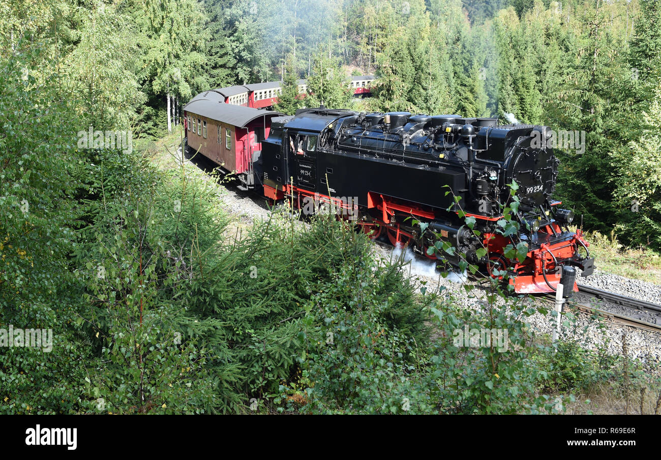 Chemin de fer à voie étroite dans le Harz Banque D'Images