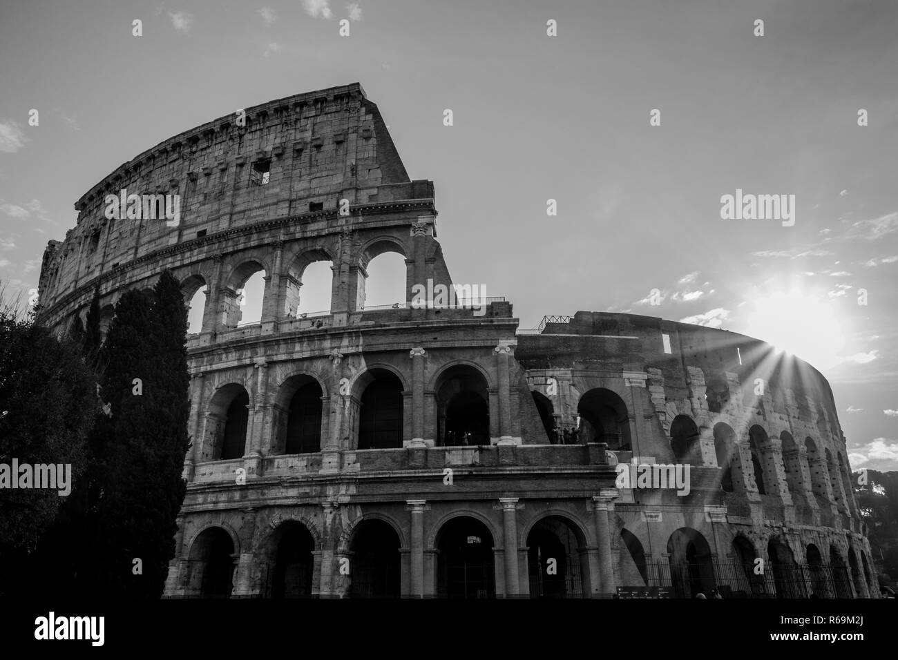 Colesseum, Rome, Italie. Banque D'Images