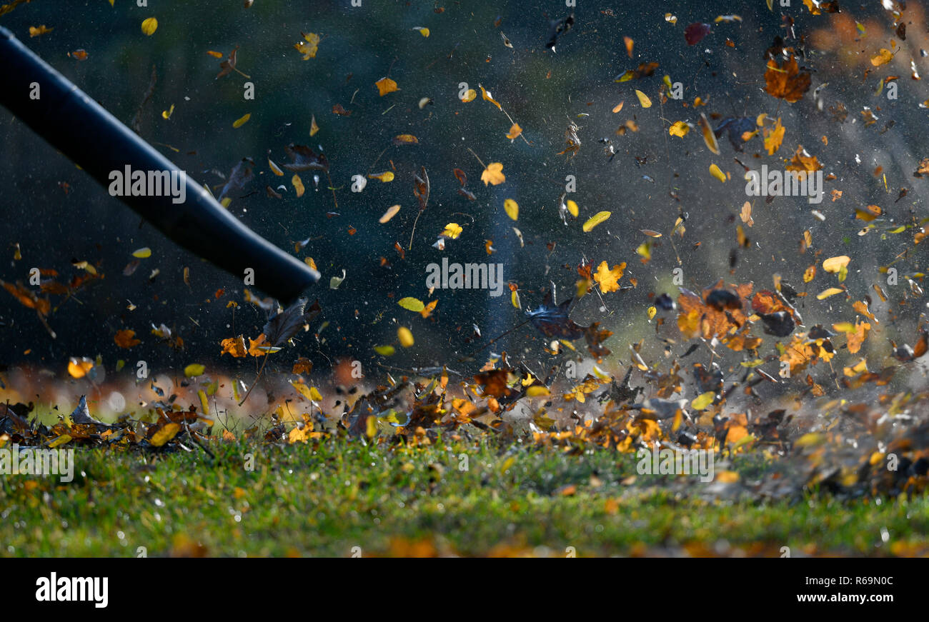 Coups souffleuse à feuilles les feuilles d'automne, Bade-Wurtemberg, Allemagne Banque D'Images