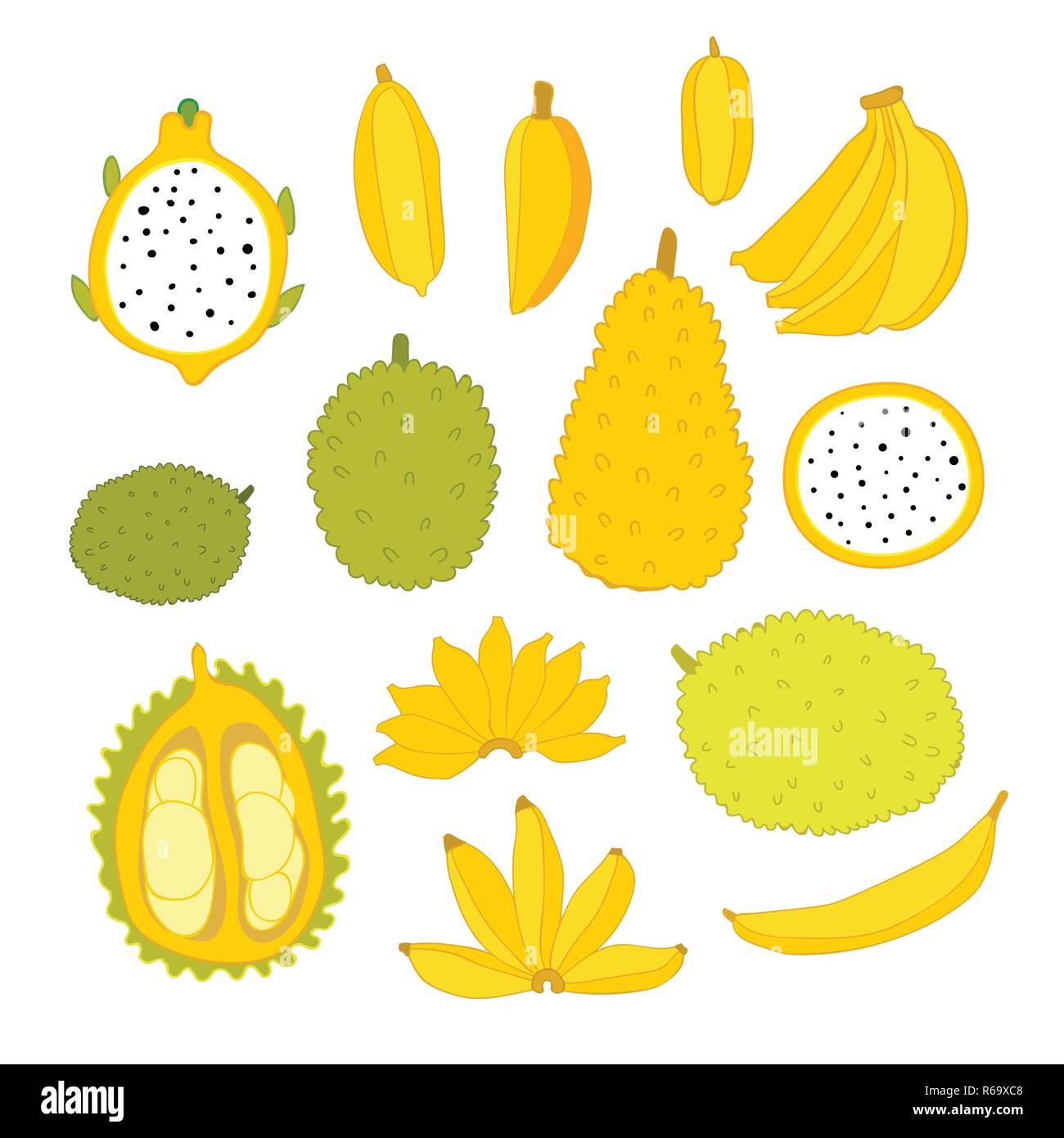 Fruits tropicaux colorés exotiques collection isolated on white background Jaque banana fruit du dragon dessiné à la main des éléments de conception tranches défini Illustration de Vecteur