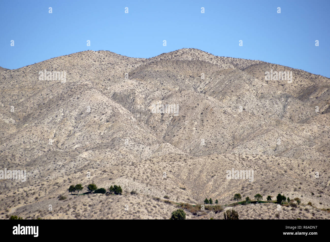 Yucca Valley Banque D'Images
