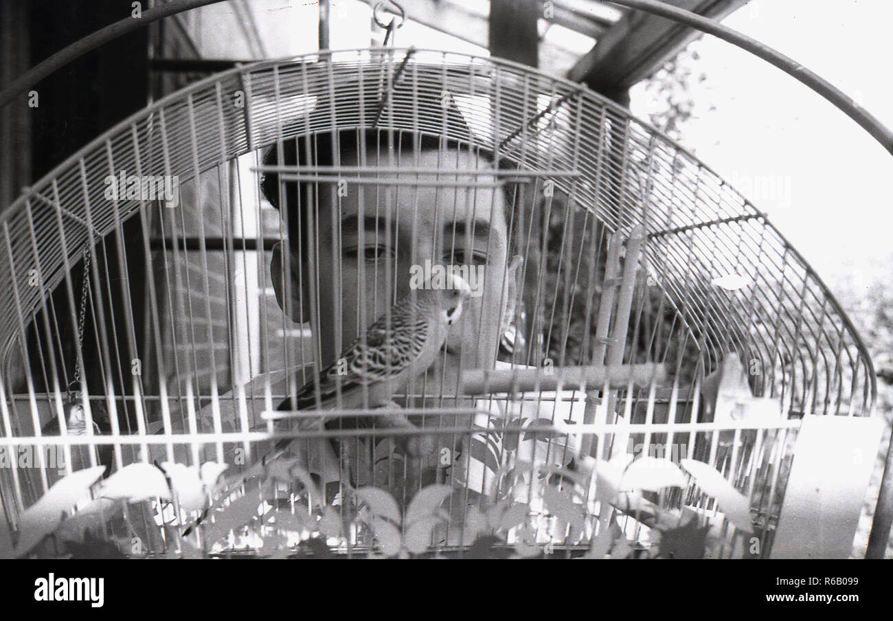 Années 1950, historique, un adolescent à la perruche à un oiseau en cage, England, UK. Une affectueuse, social oiseau, la 'perruche' est l'un des plus populaires classement animaux juste derrière les chiens et chats. Banque D'Images