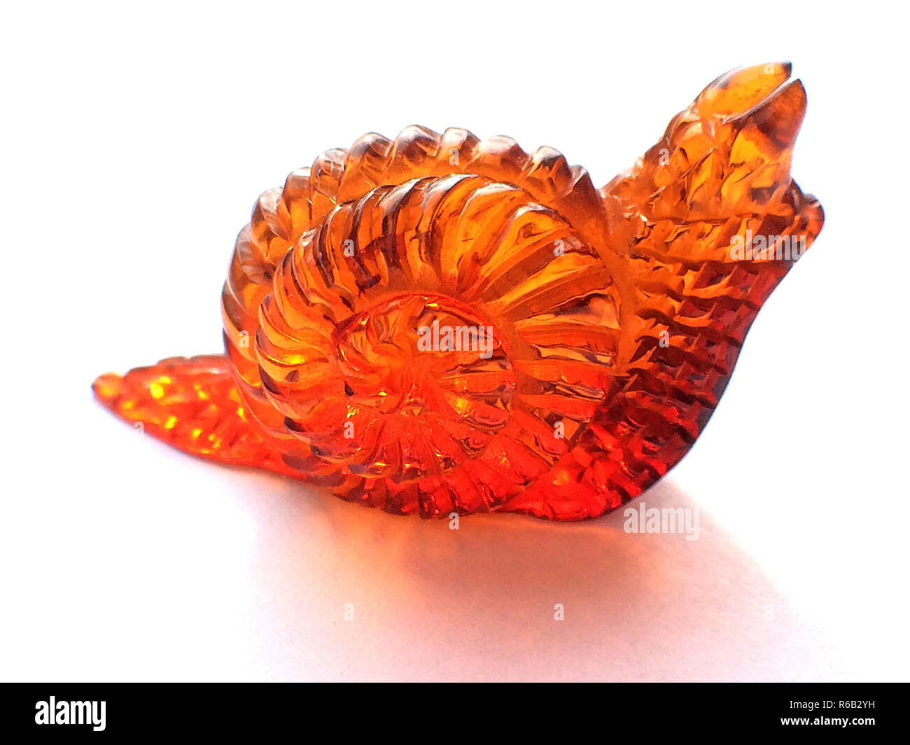 Escargot orange, gros plan Banque D'Images