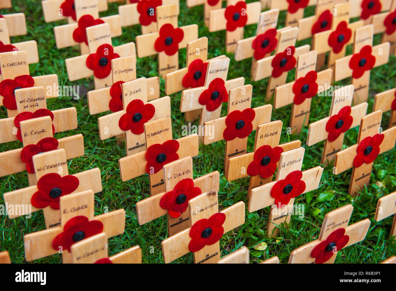 Croix de bois de coquelicots attachées avec des noms de l'armée déchue. Banque D'Images