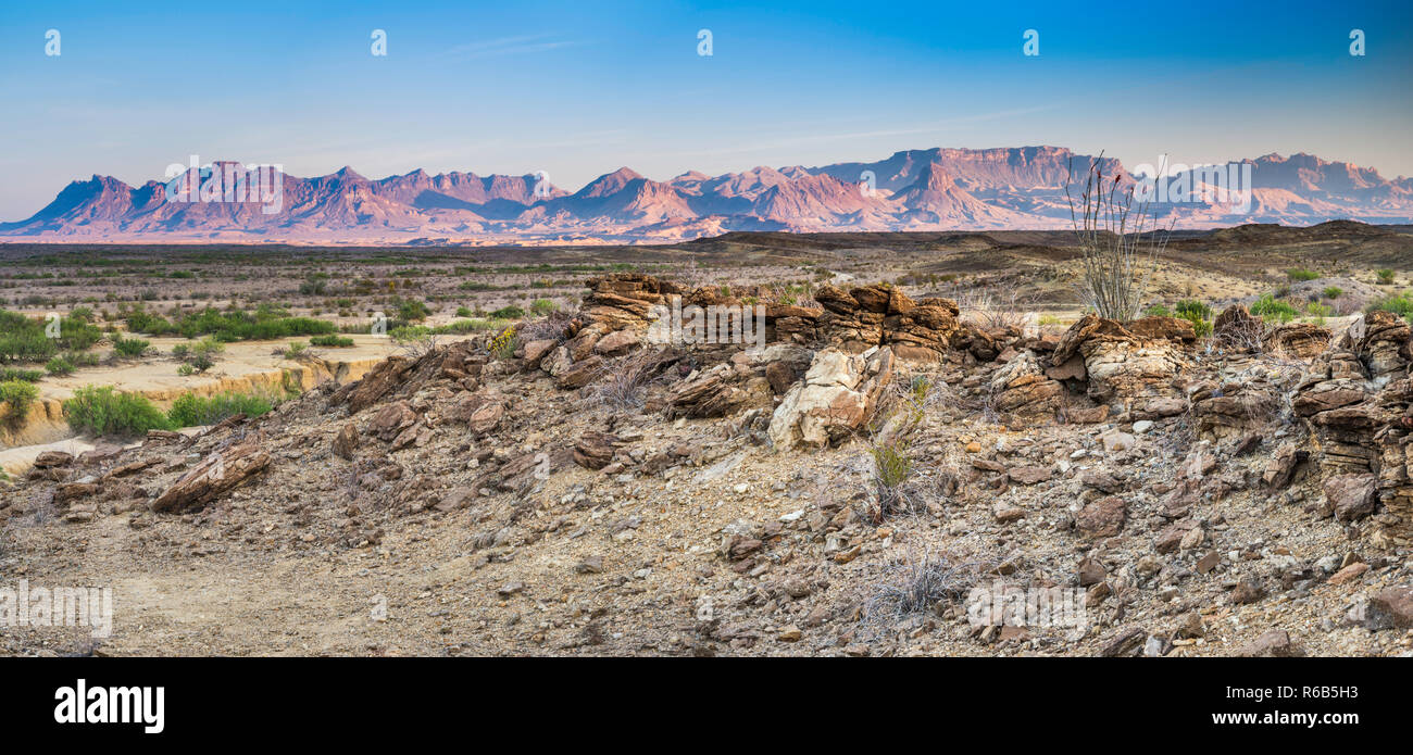 Vue montagnes Chiso, au lever du soleil à partir de camping off Road dans la zone de Mariscal, Désert de Chihuahuan, Big Bend National Park, Texas, États-Unis Banque D'Images