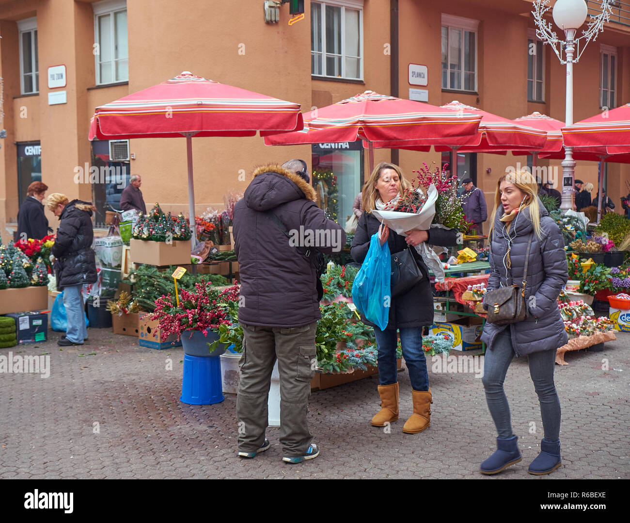 Marché aux fleurs se bloque pendant la célébration de Noël à Zagreb. Mesdames décider quelles fleurs pour les fêtes. Banque D'Images