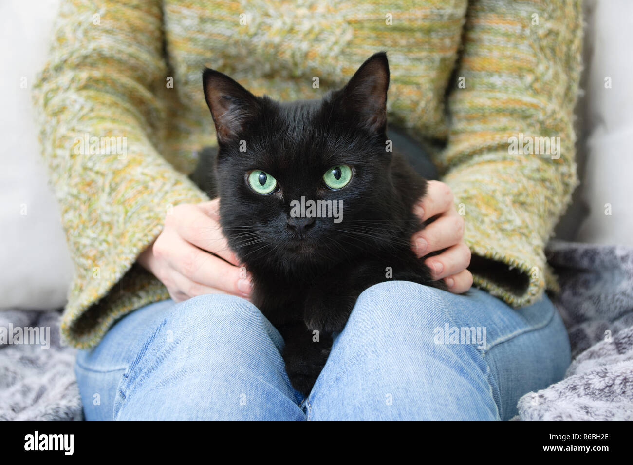 La Fille Dans Le Pull Vert Est Maintenant Un Chat Noir Photo Stock Alamy
