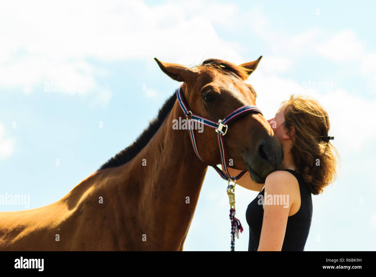 Prendre soin des animaux, l'amour et l'amitié concept. Jeune fille Jockey cheval brun embrasser et s'étreindre sur sunny day Banque D'Images