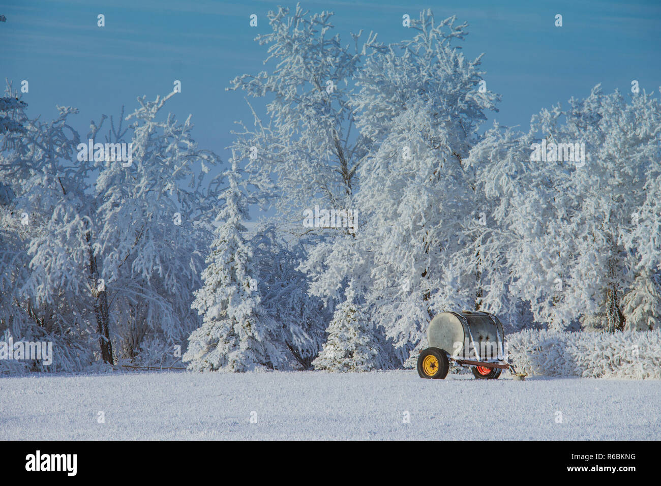 Winter Wonderland jante jaune Banque D'Images