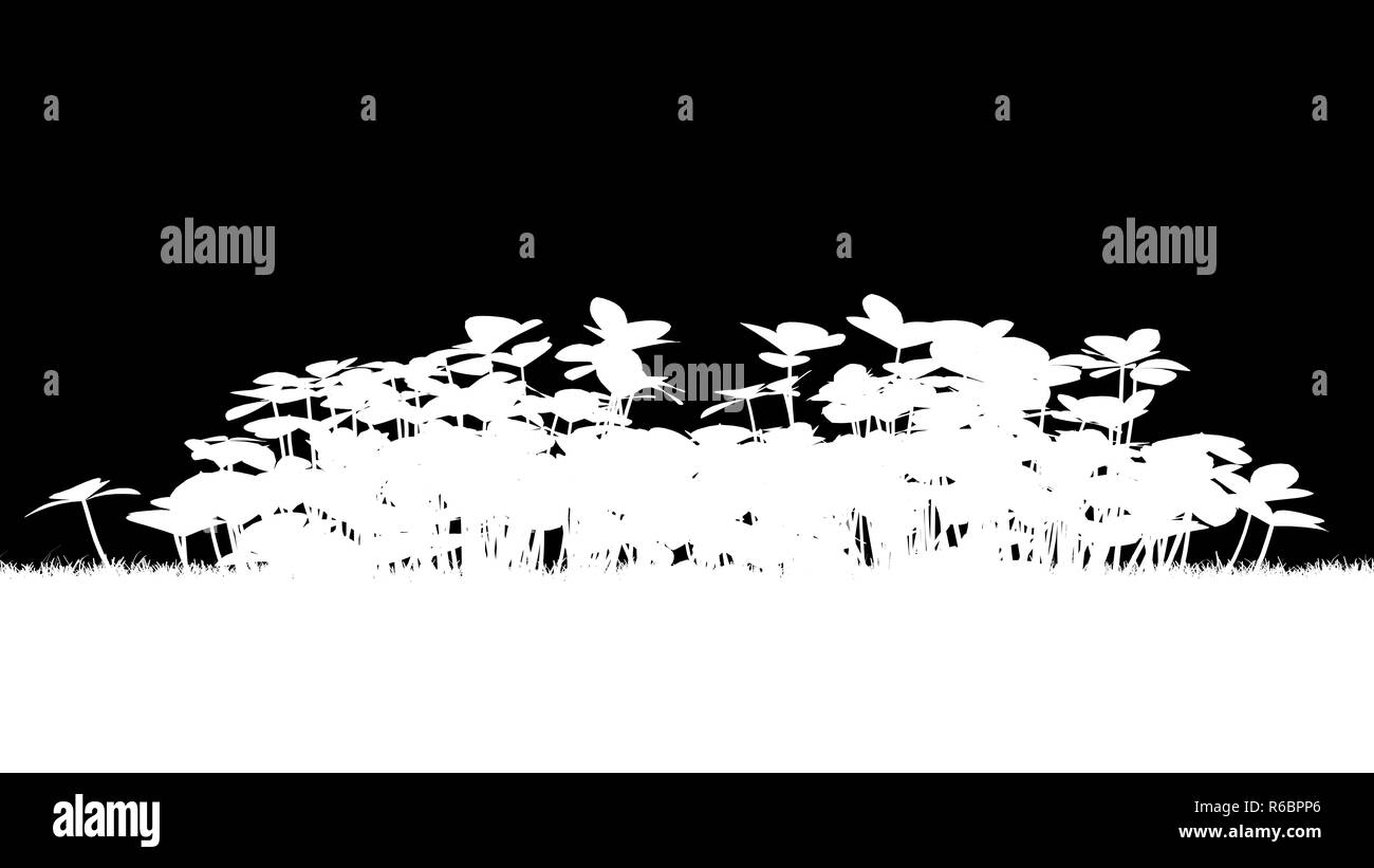 Le rendu 3D d'une silhouette plantes Banque D'Images