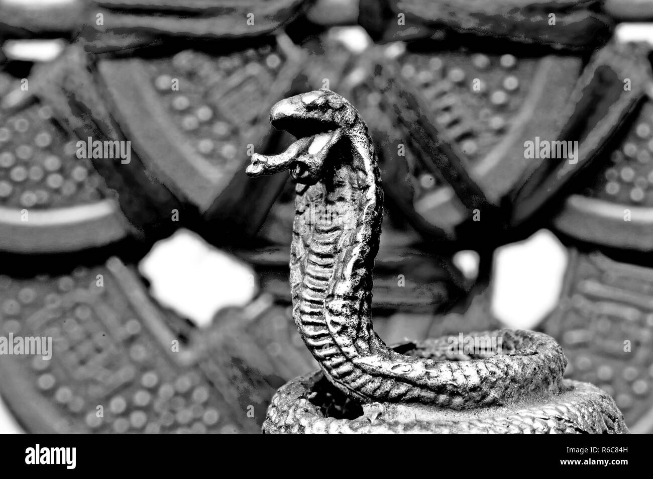 Le Feng Shui de l'année du Serpent Banque D'Images