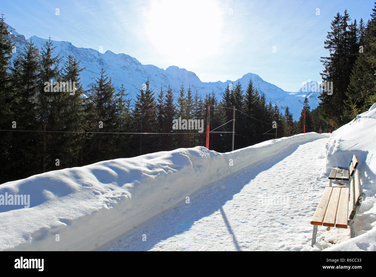 Hiver ensoleillé chemin de randonnée et des bancs à côté de la gare près de Murren, Oberland Bernois, Suisse. Des kilomètres de sentiers de randonnées préparés pour les non-skieurs. Banque D'Images