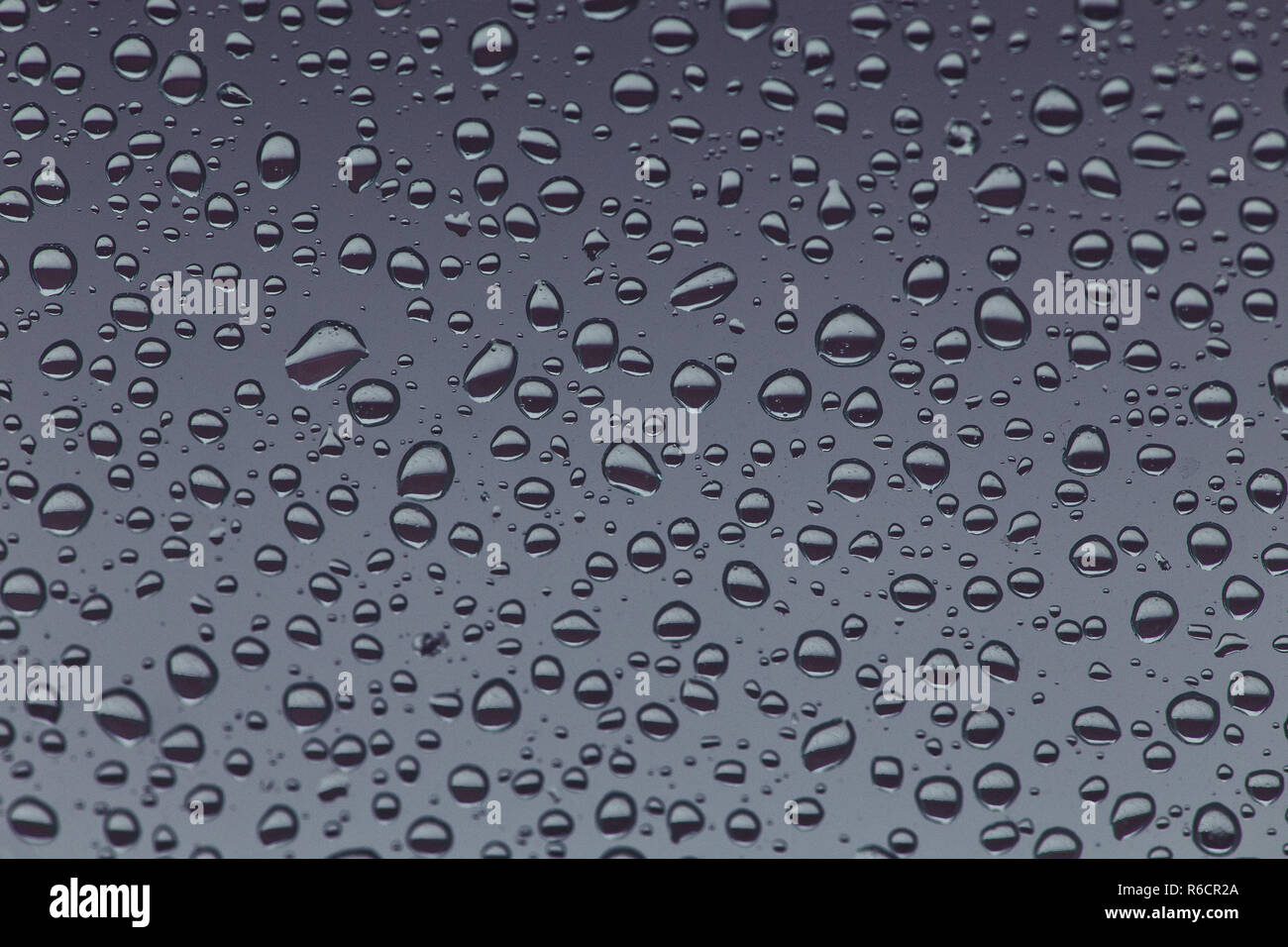 Gouttes de pluie sur la vitre de l'arrière-plan, texture de fond goutte d'eau. Banque D'Images