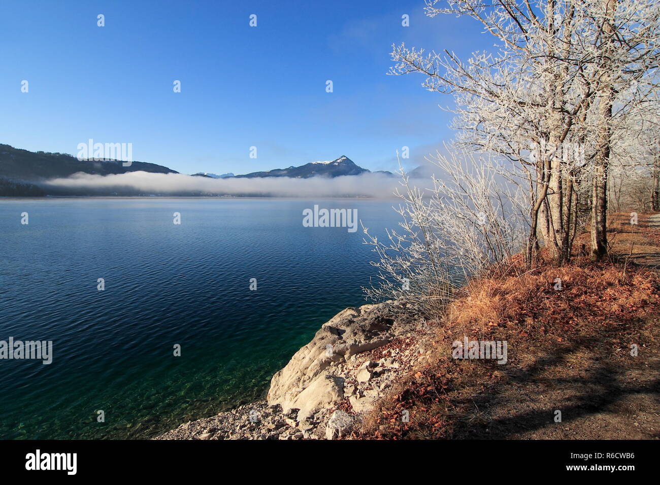 L'humeur de la mer de brouillard et de givre Banque D'Images