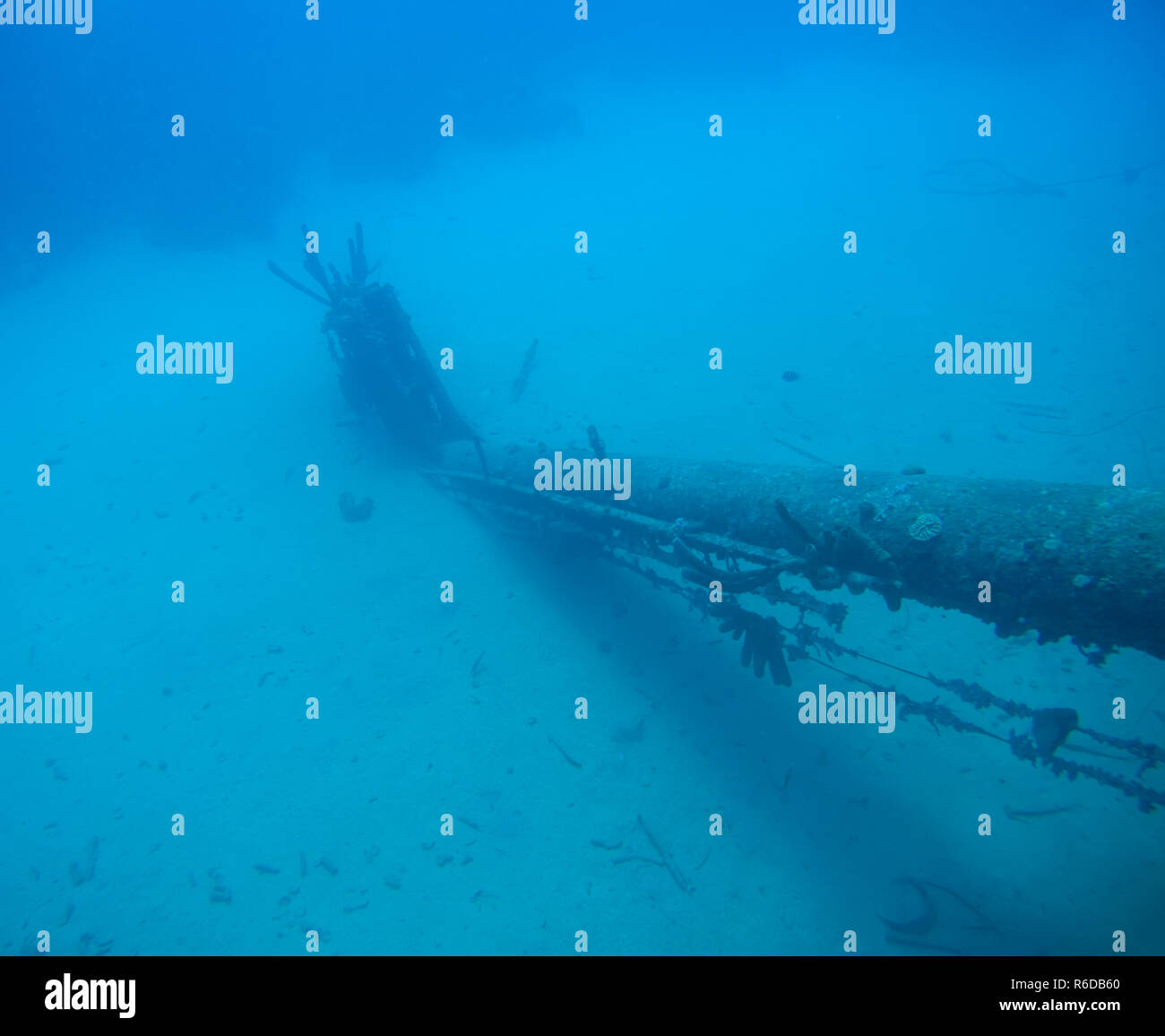 Épave de l'île de Bonaire Hilma Hooker sous-marine de la mer des Caraïbes Banque D'Images