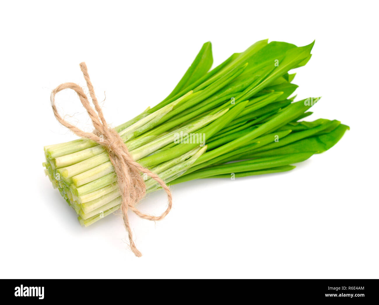 L'Allium ursinum - connu sous le nom de ramsons, buckrams, ail sauvage, l'ail des bois, ail, poireau, ours ou ail des ours. Isolées. Banque D'Images