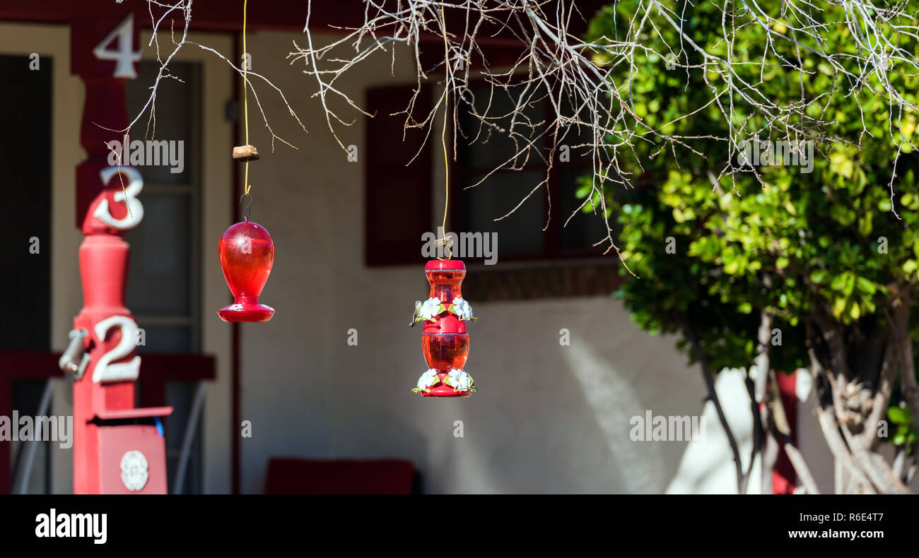 BOULDER, USA - 2 février 2018 : verre Hummingbird buveurs. Avec selective focus Banque D'Images