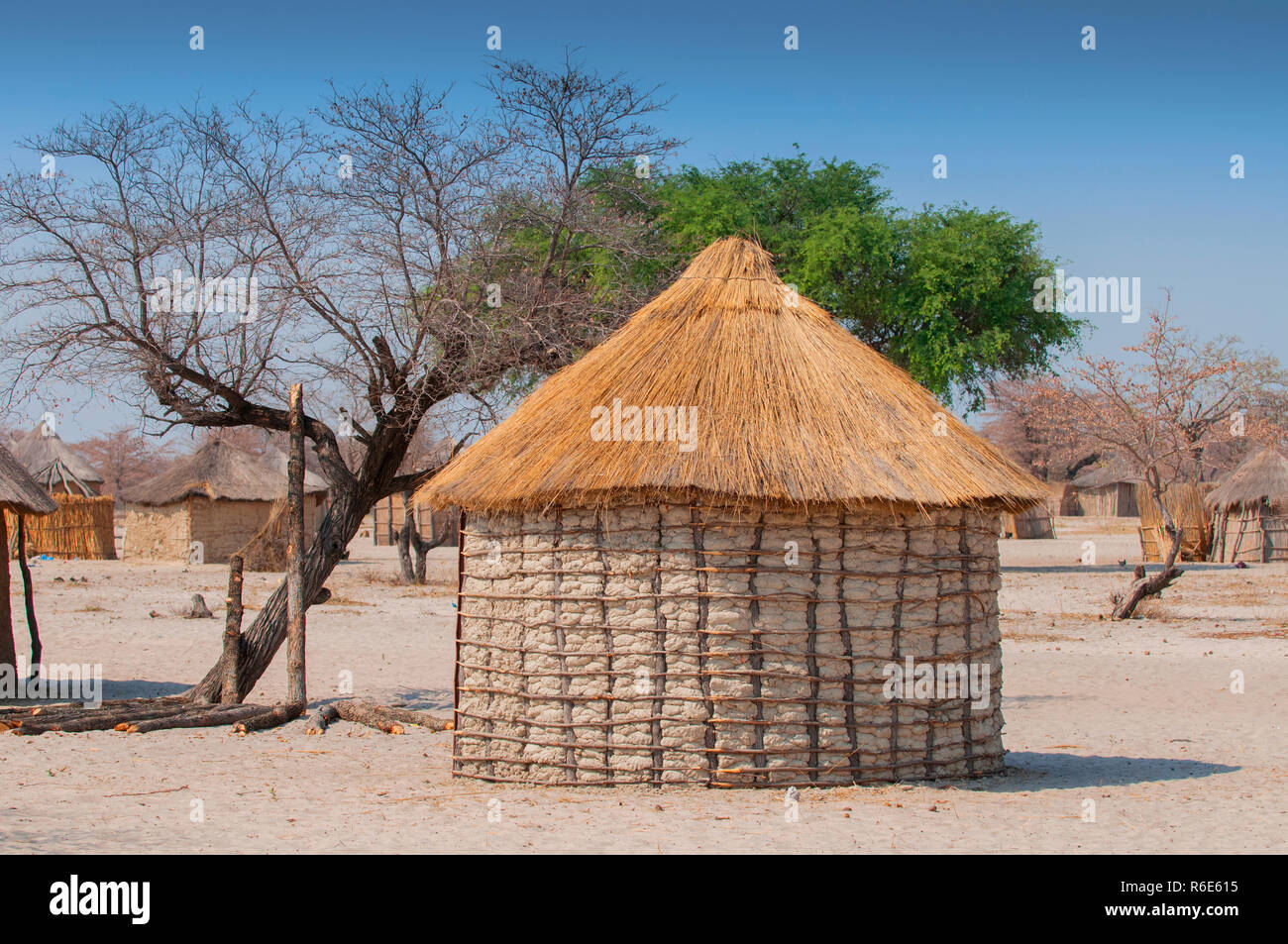 Thatched-Roof typique cabane ronde africaine au Botswana Banque D'Images