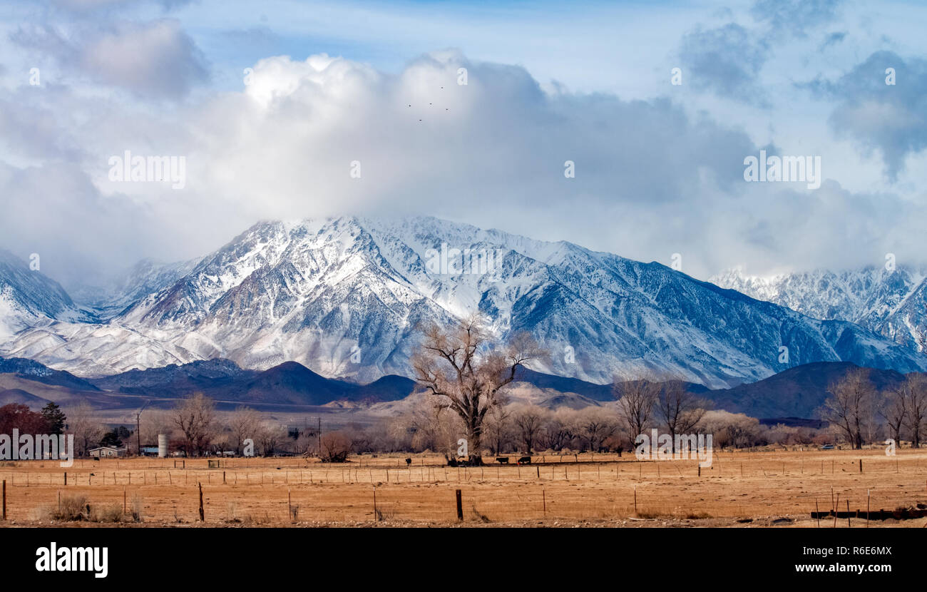 Owens Valley Ranch en Californie, à l'est de la sierra montagnes en arrière-plan après une récente tempête de neige et nuages de compensation Banque D'Images