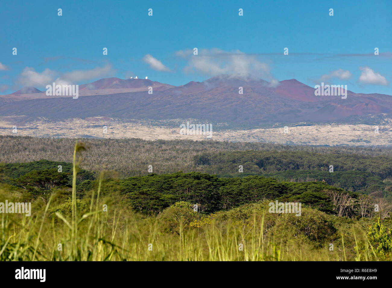 Honomū, Hawaii - Mauna Kea, un volcan dormant 13 802', avec les observatoires astronomiques, près de son sommet. Banque D'Images