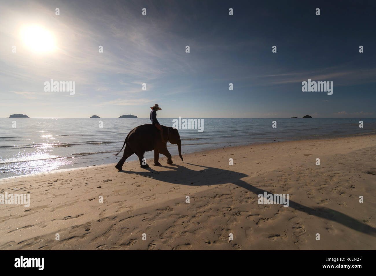 Elephant sur fond de coucher du soleil et de la mer sur Koh Chang, Thaïlande Banque D'Images