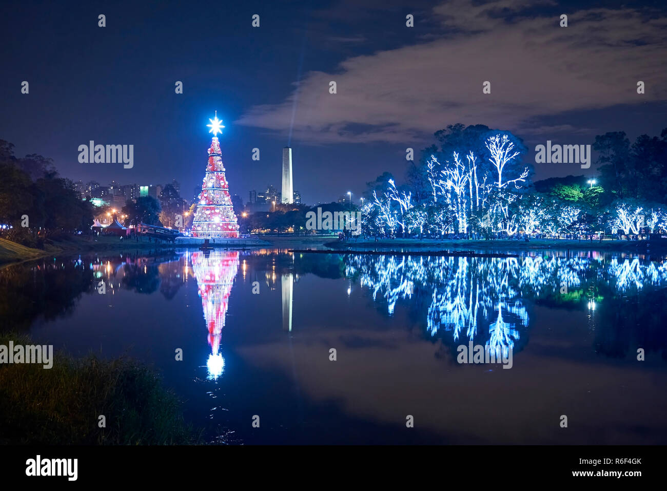 Arbre de Noël et des arbres dans le parc Ibirapuera de nuit en décembre à Sao Paulo, Brésil. Banque D'Images