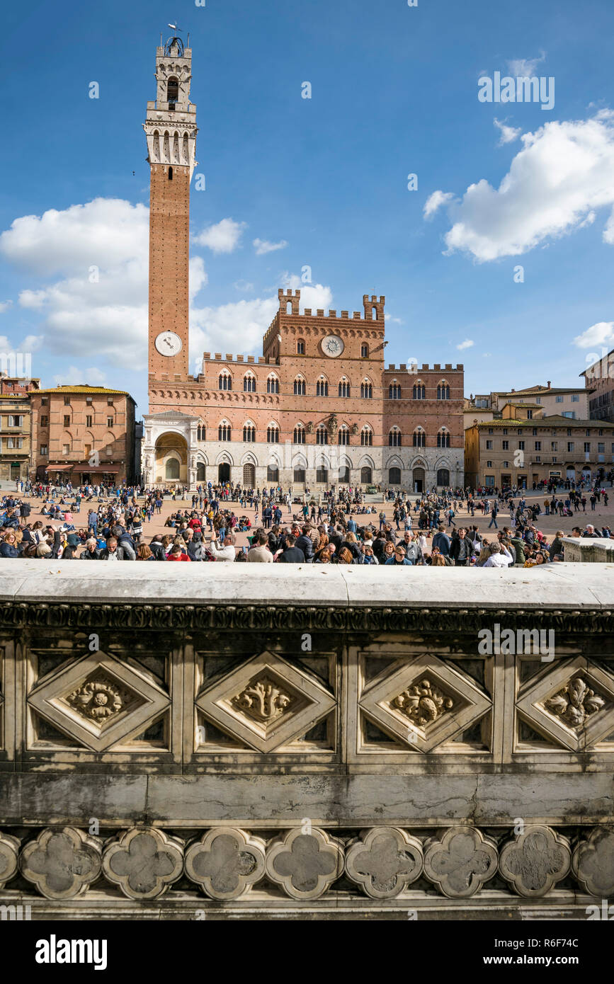 Vue verticale de la Piazza del Campo et la Torre del Mangia à Sienne, Italie. Banque D'Images