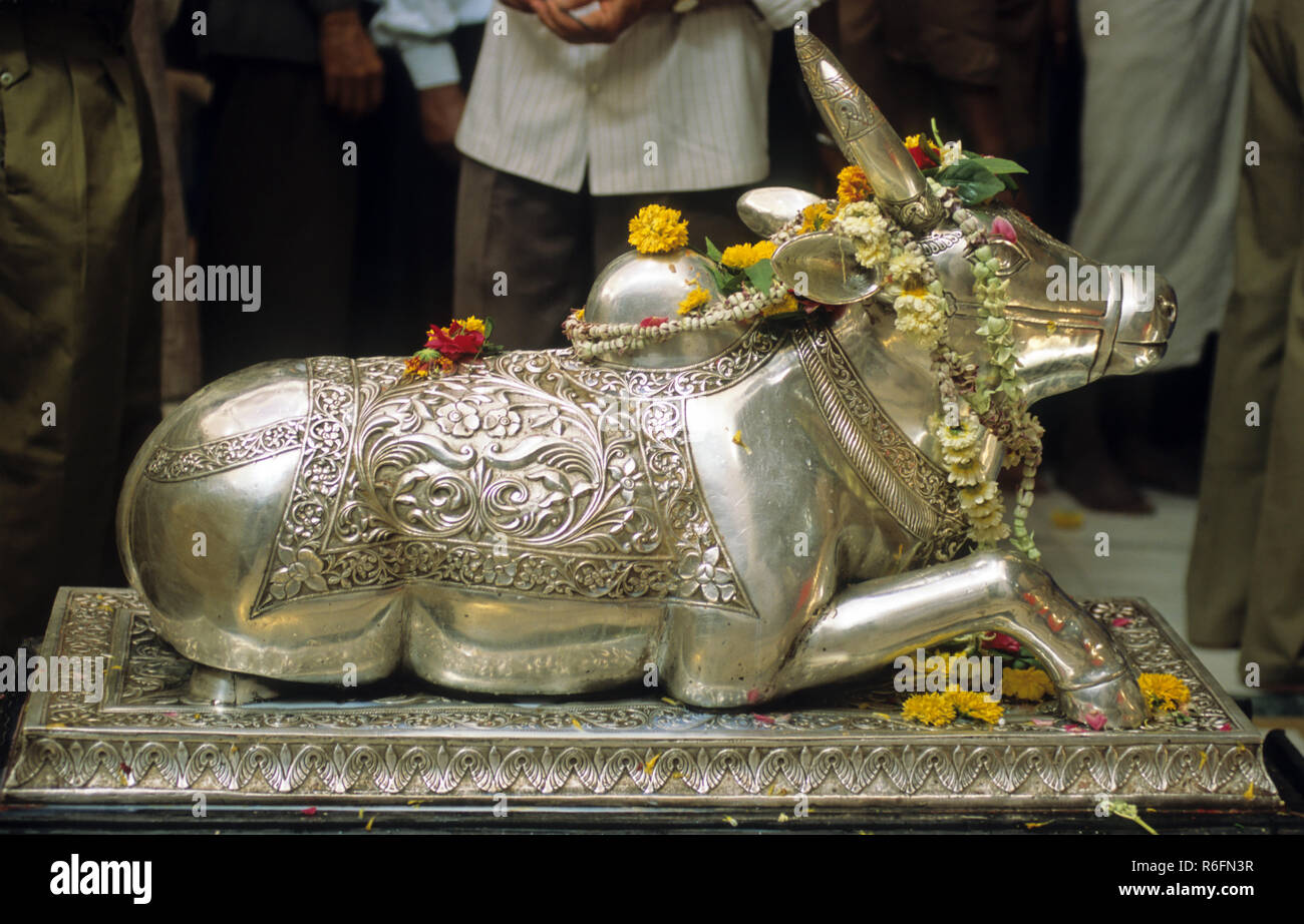 Idole de Nandi, mahakaleshwar temple, ujjain, Madhya Pradesh, Inde Banque D'Images