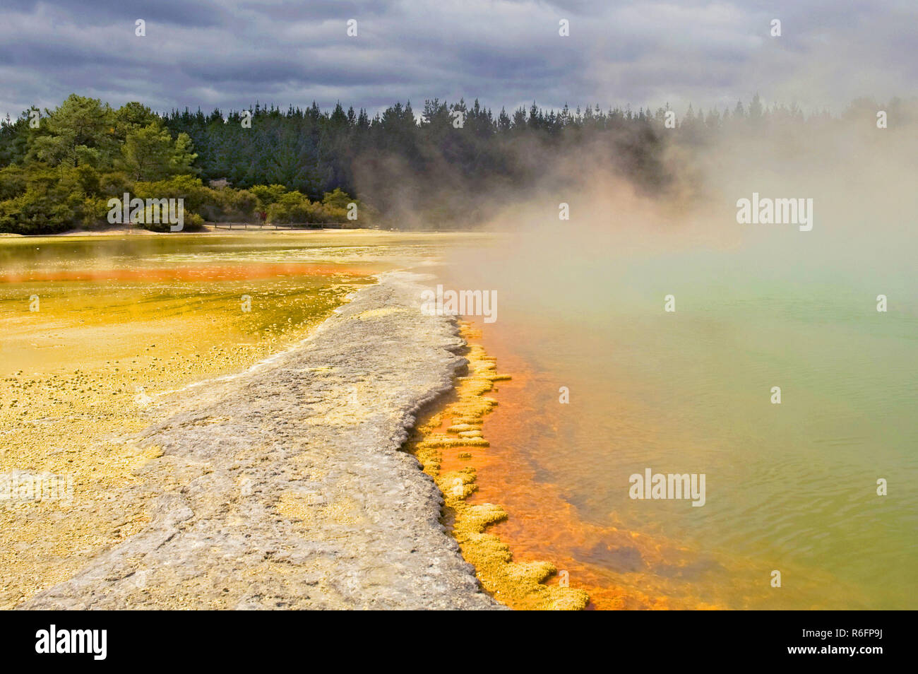 La vapeur d'eau à la piscine de Champagne, Waiotapu la Réserve Thermale, Rotorua, Nouvelle-Zélande Banque D'Images