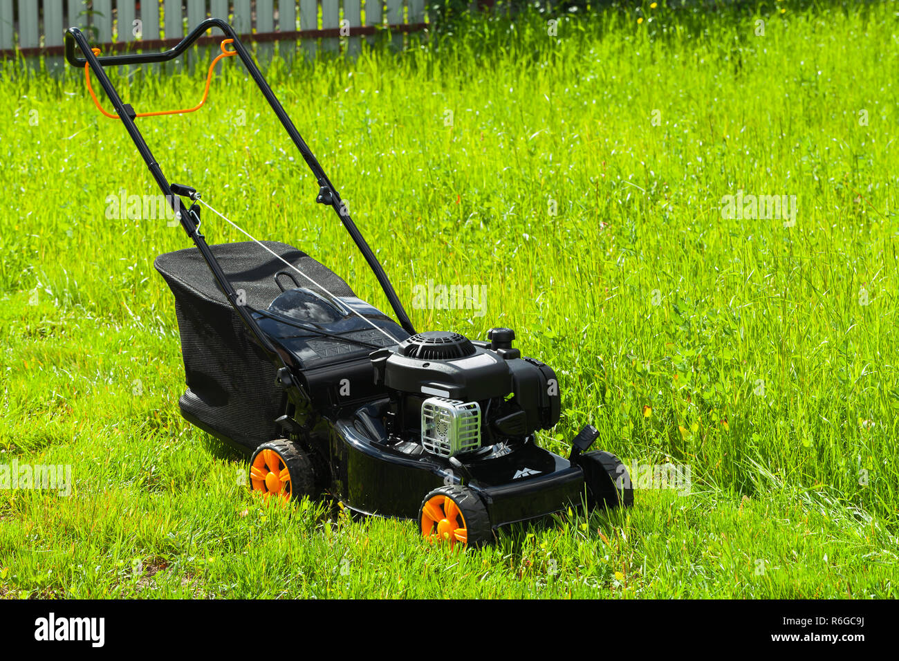 Tondeuse gazon à essence moderne se dresse sur la pelouse verte fraîche en été, jardin Banque D'Images